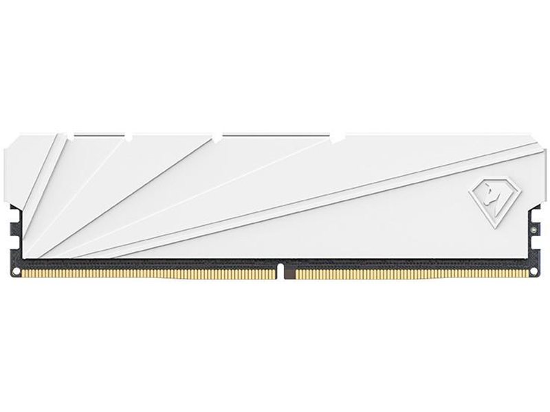Netac DDR4 DIMM 16GB Shadow II 3200MHz CL16 1.35V / NTSSD4P32SP-16W / White / with radiator