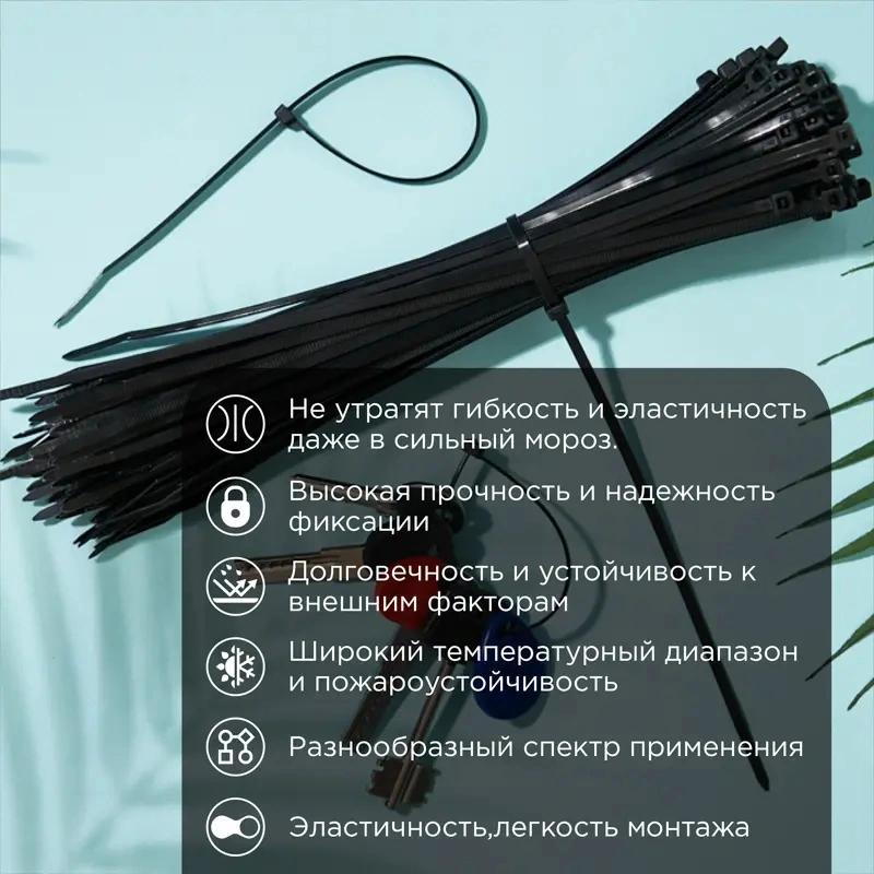 Стяжка пластиковая Rexant 87-0251 250x3.6мм (упак:100шт) нейлон внешний (-60/+85) черный