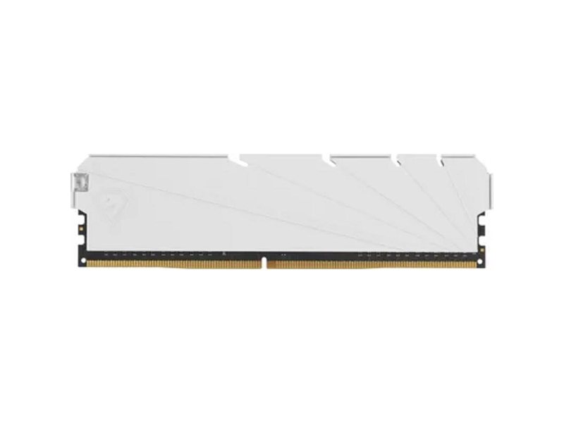 Netac DDR4 DIMM 8GB NTSSD4P32SP-08W PC4-25600, 3200MHz