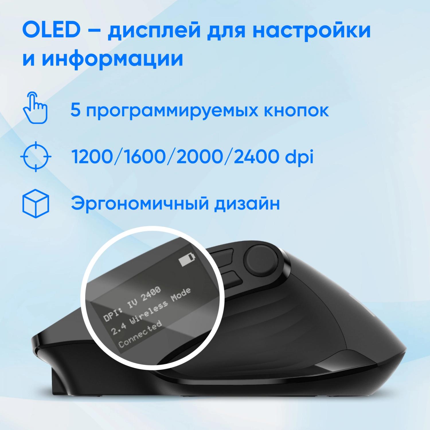 Мышь Оклик 502MW черный оптическая 2400dpi silent беспров. BT/Radio USB для ноутбука 9but (1978678)