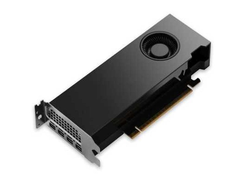 NVIDIA RTX PRO 2000 Blackwell, 16 GB GDDR7 with ECC, mini DisplayPort 2.1, PCI Express 5.0 x8, Bulk 900-5G195-2250-000