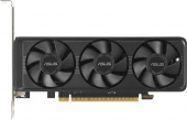 Видеокарта Asus PCI-E 4.0 RTX5060-O8G-LP-BRK NVIDIA GeForce RTX 5060 8Gb 128bit GDDR7 2550/28000 HDMIx1 DPx3 HDCP Ret