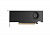 NVIDIA RTX PRO 2000 Blackwell, 16 GB GDDR7 with ECC, mini DisplayPort 2.1, PCI Express 5.0 x8, Bulk  900-5G195-2250-000