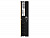 Qumo DDR5 DIMM 32GB 5600MHz QUM5U-32G5600N46