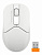 Мышь A4Tech Fstyler FG12 белый оптическая 1200dpi беспров. USB 3but (FG12 WHITE)
