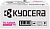 Картридж лазерный Kyocera TK-5450M 1T0C0DBNL0 пурпурный (3200стр.) для Kyocera Kyocera ECOSYS PA2600cx, ECOSYS PA2600cwx, ECOSYS MA2600cfx, ECOSYS MA2600cwfx